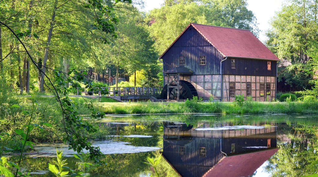 Die Cordinger Mühle (am Morgen) an der Warnau in Benefeld (Lüneburger Heide, Deutschland)