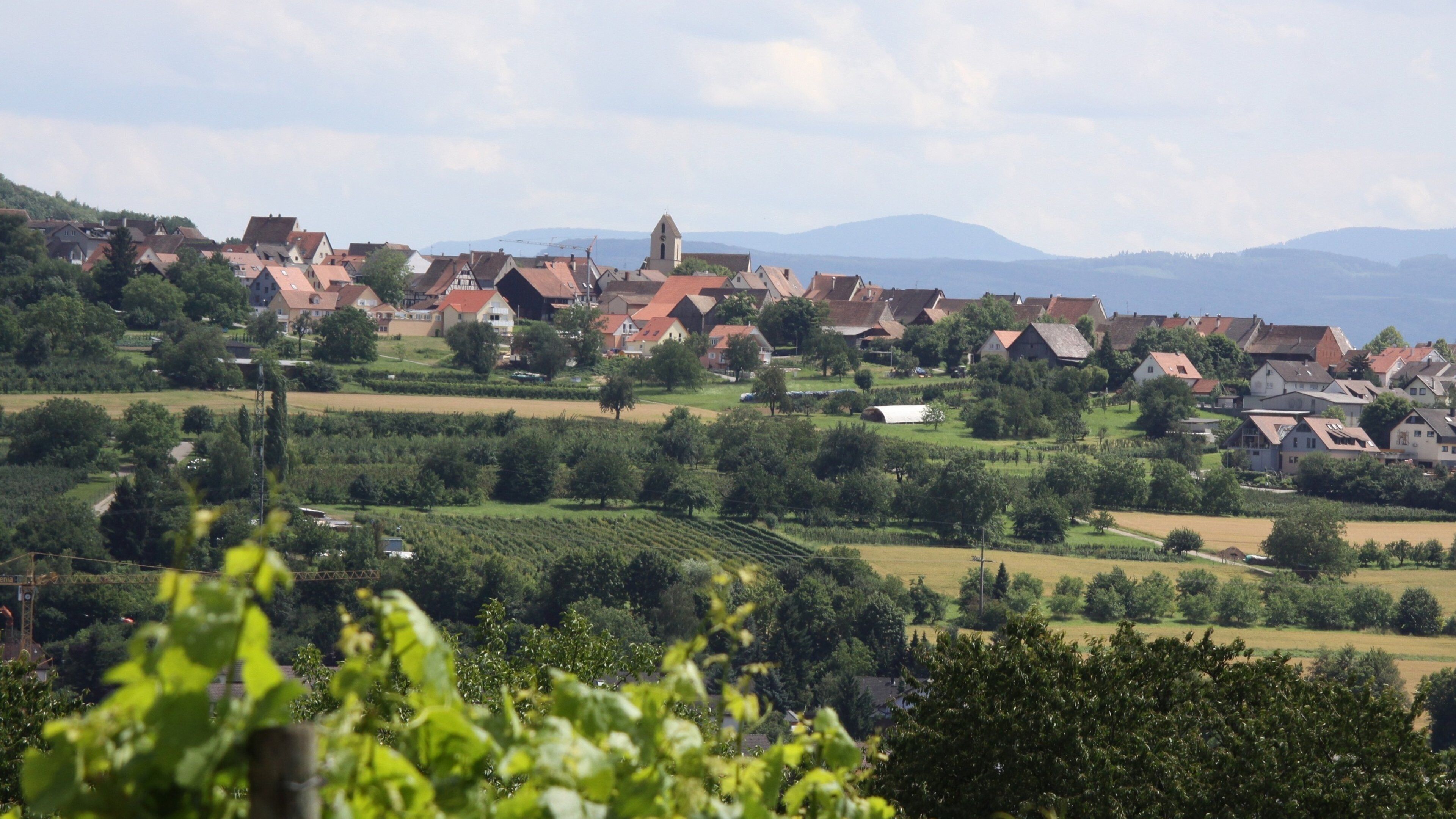 A village with red-roofed houses, a church, and vineyards.