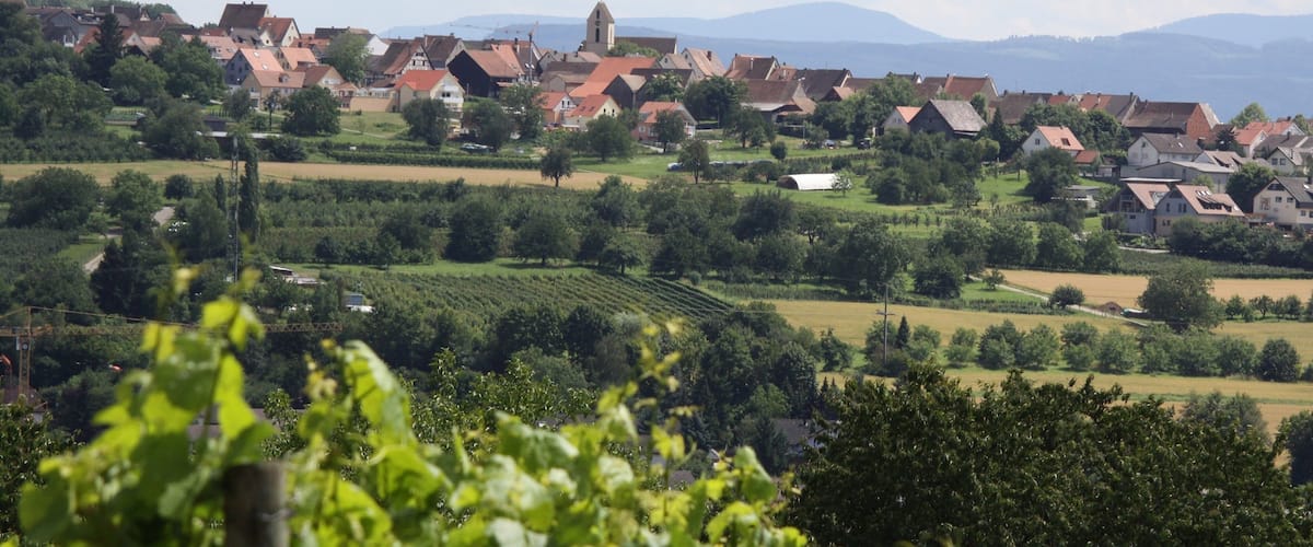 A village with red-roofed houses, a church, and vineyards.