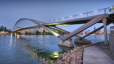 Weil am Rhein featuring night scenes, a river or creek and a bridge