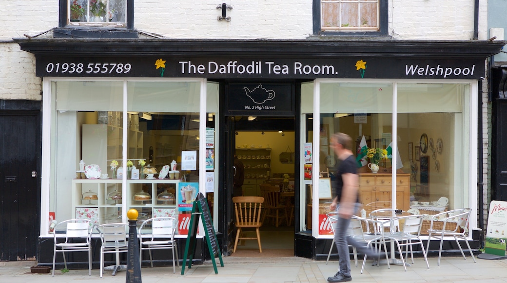 Welshpool which includes cafe scenes as well as an individual male