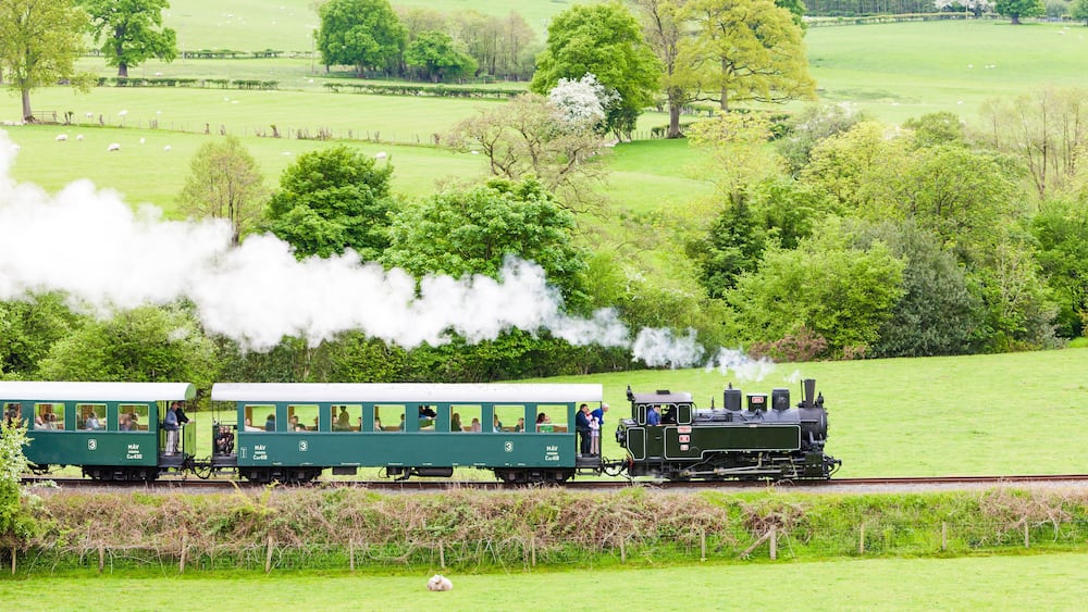 Un train à vapeur vert transporte des passagers à travers un paysage rural, avec des champs verdoyants et des arbres.