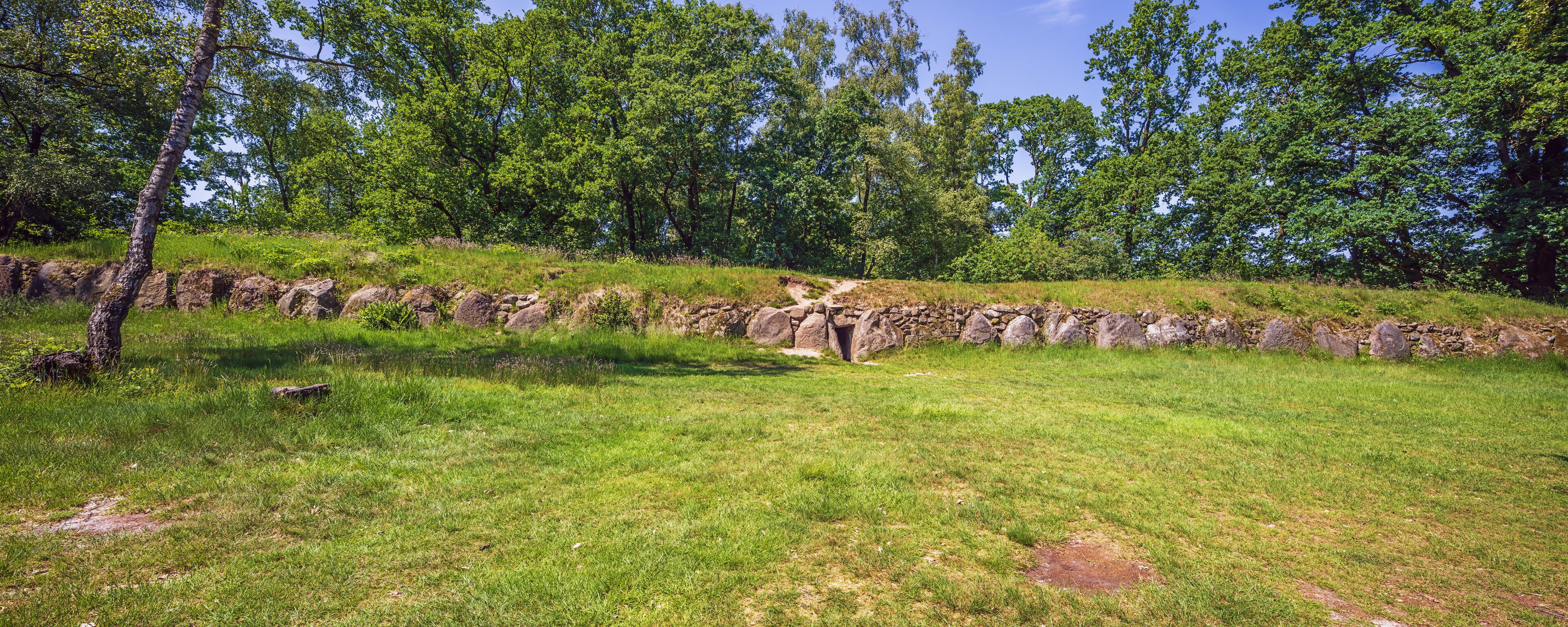A grassy field with a stone wall and a small cave entrance.