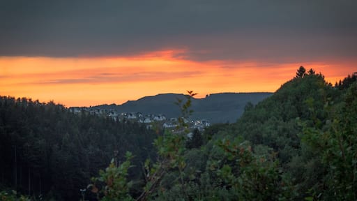 Sunset in Winterberg in Germany
#nature
#nature photo contest