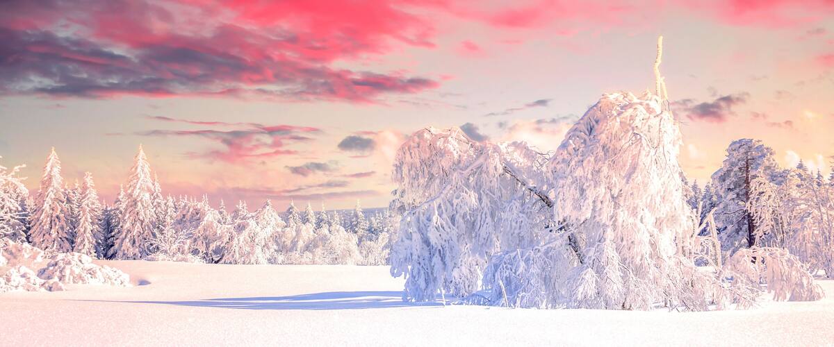 A snowy landscape with a mountain covered in snow and trees in the background.