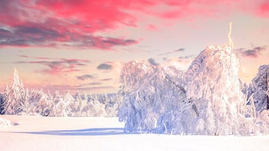 Paisagem coberta de neve, com uma montanha e árvores ao fundo.