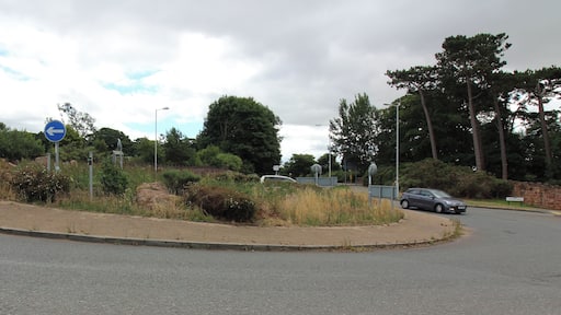 VIew from the Cottage Loaf.