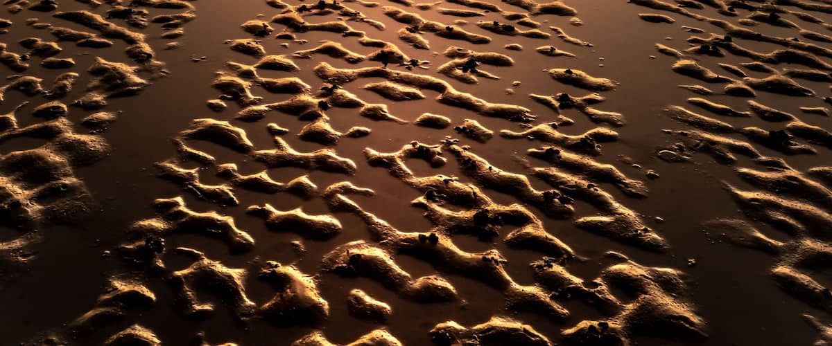 Lucky to look behind me as I walked back from Little Eye. Just off the coast of West Kirby.