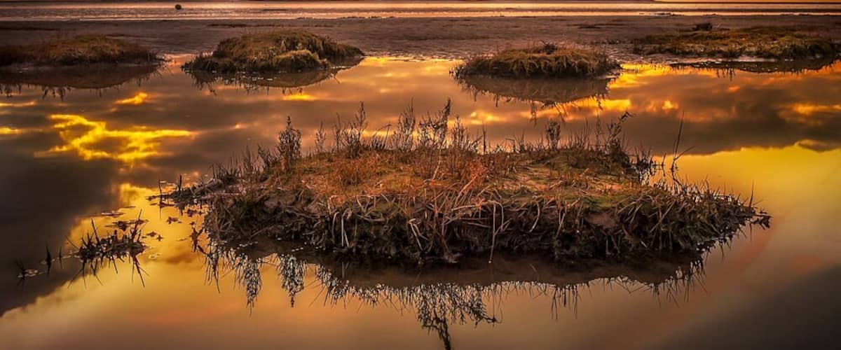 Intended to walk out to Little Eye but tides were all wrong. Ended up in this spot with hilbre island in the background.