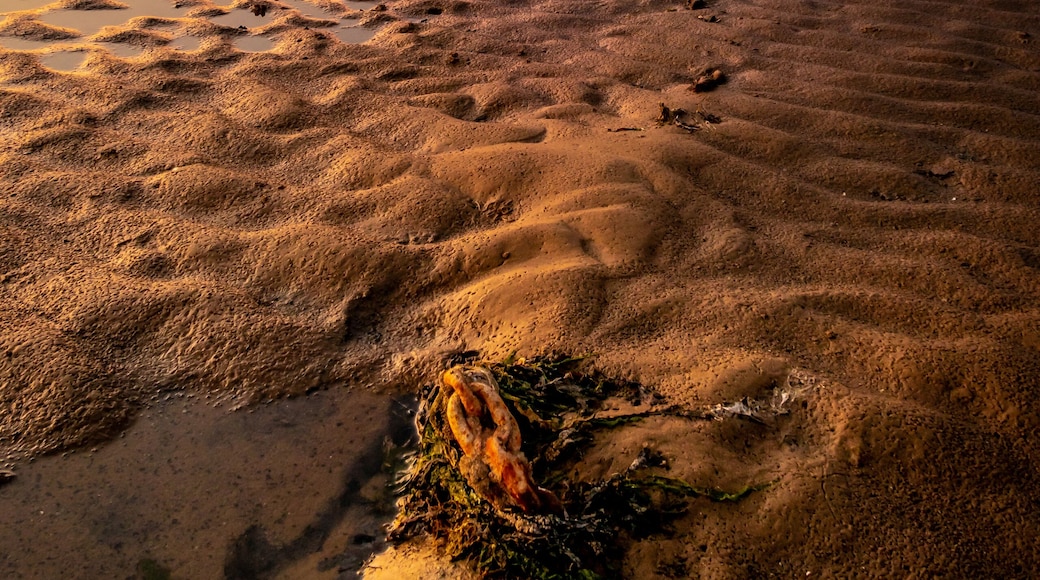 Taken just before sunset at Meols beach, uk