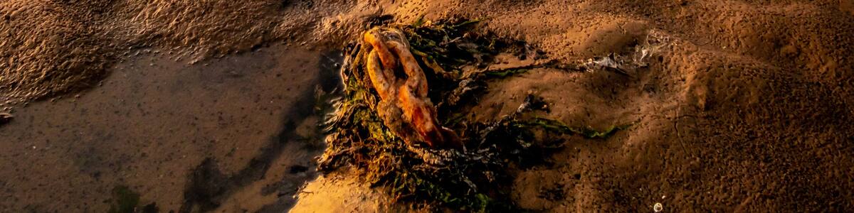 Taken just before sunset at Meols beach, uk