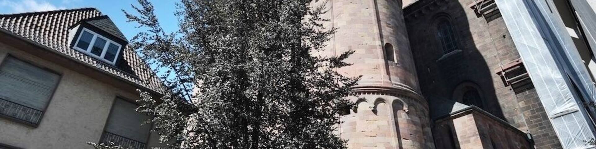 The St Peter's Dom is a church in Worms, southern Germany. The Dom is located on the highest point of the inner city of Worms and is the most important building of the romanesque style in Worms. It is closely associated with Bishop Burchard and the high point of Worms' history in the 12th and 13th centuries. It was the seat of the Catholic Prince-Bishopric of Worms until its extinction in 1800.