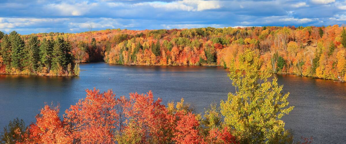 A lake surrounded by autumn-colored trees and a cloudy sky.