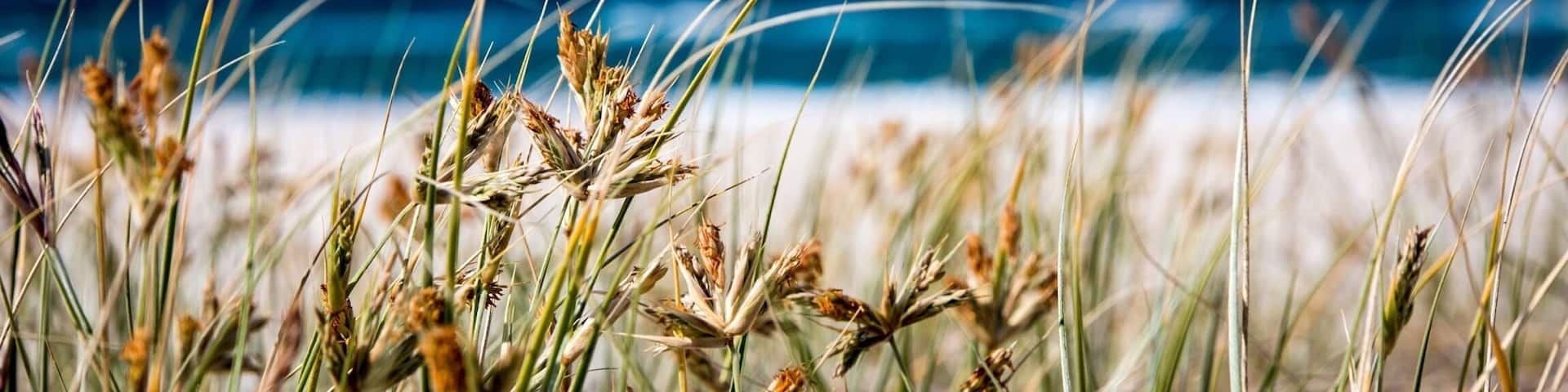 Always a beach day in Queensland.
#queensland #australia
#weekendgetaway
#blue #beachbound