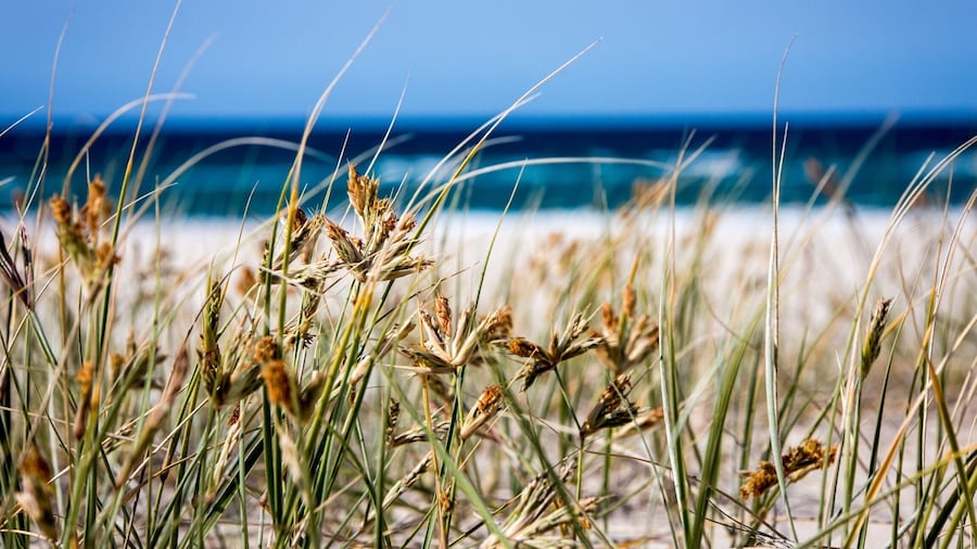 Always a beach day in Queensland.
#queensland #australia
#weekendgetaway
#blue #beachbound