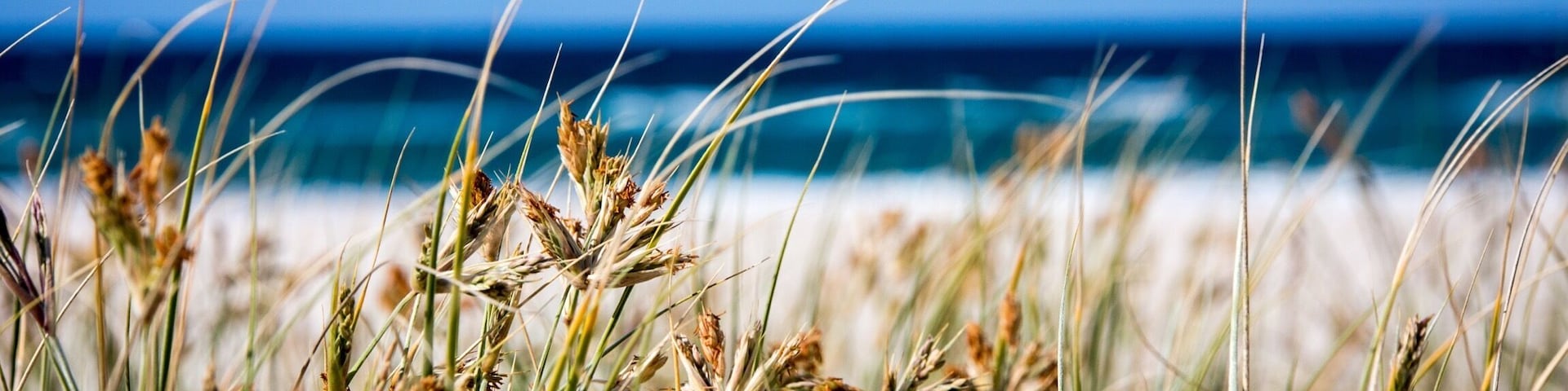 Always a beach day in Queensland.
#queensland #australia
#weekendgetaway
#blue #beachbound