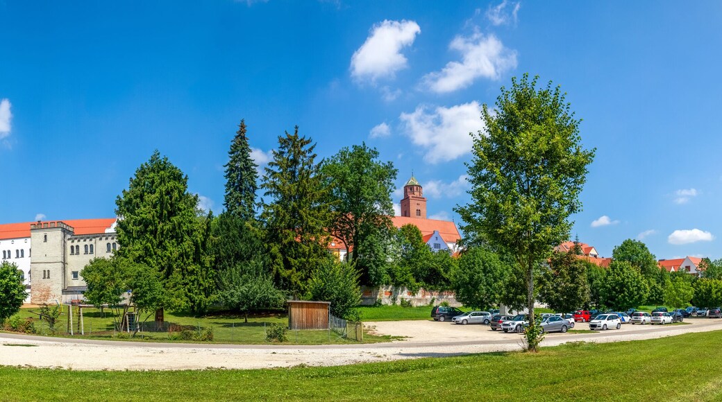 دوناوفويرت