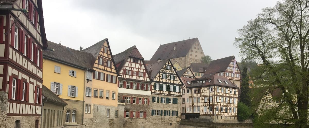 A river with traditional half-timbered houses on one side and a grassy area with ducks on the other.