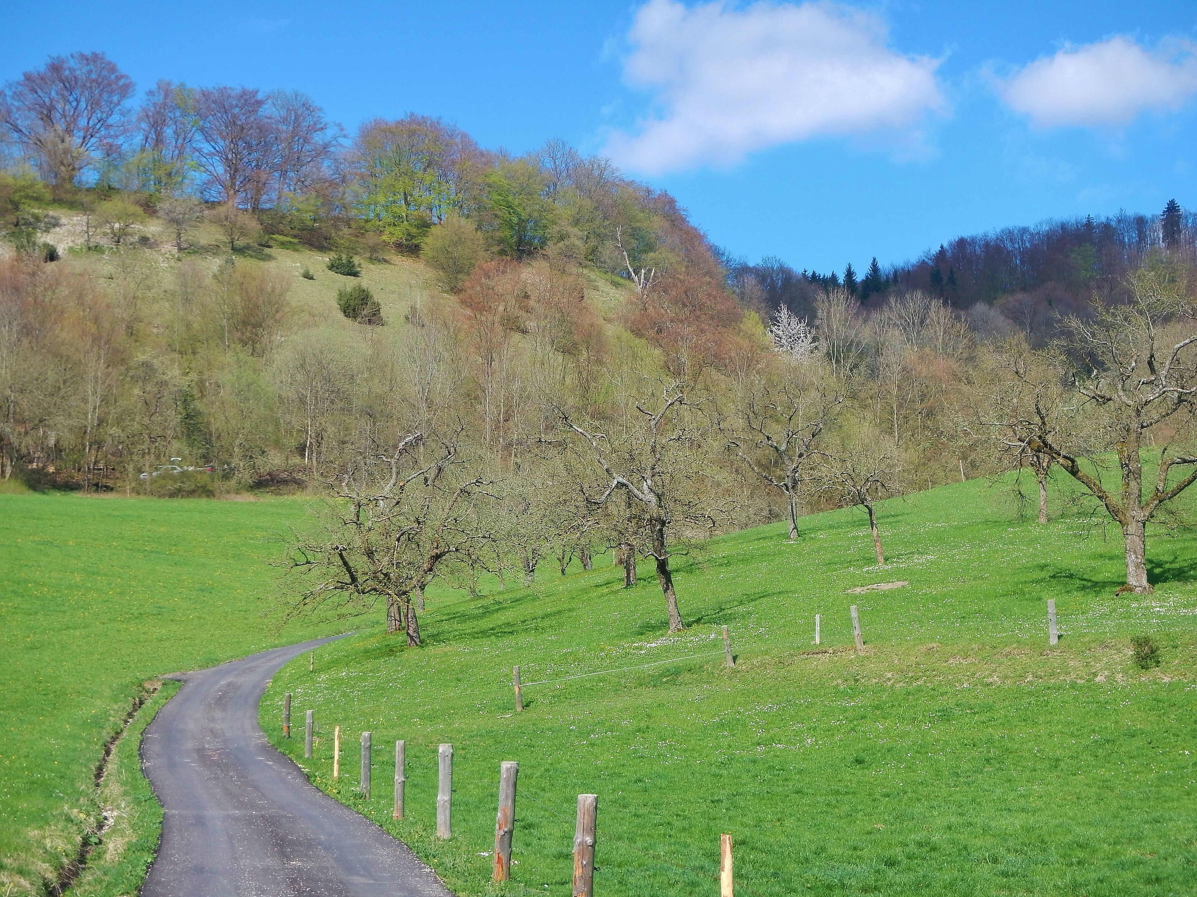 Aufwärts auf die Albhochfläche
