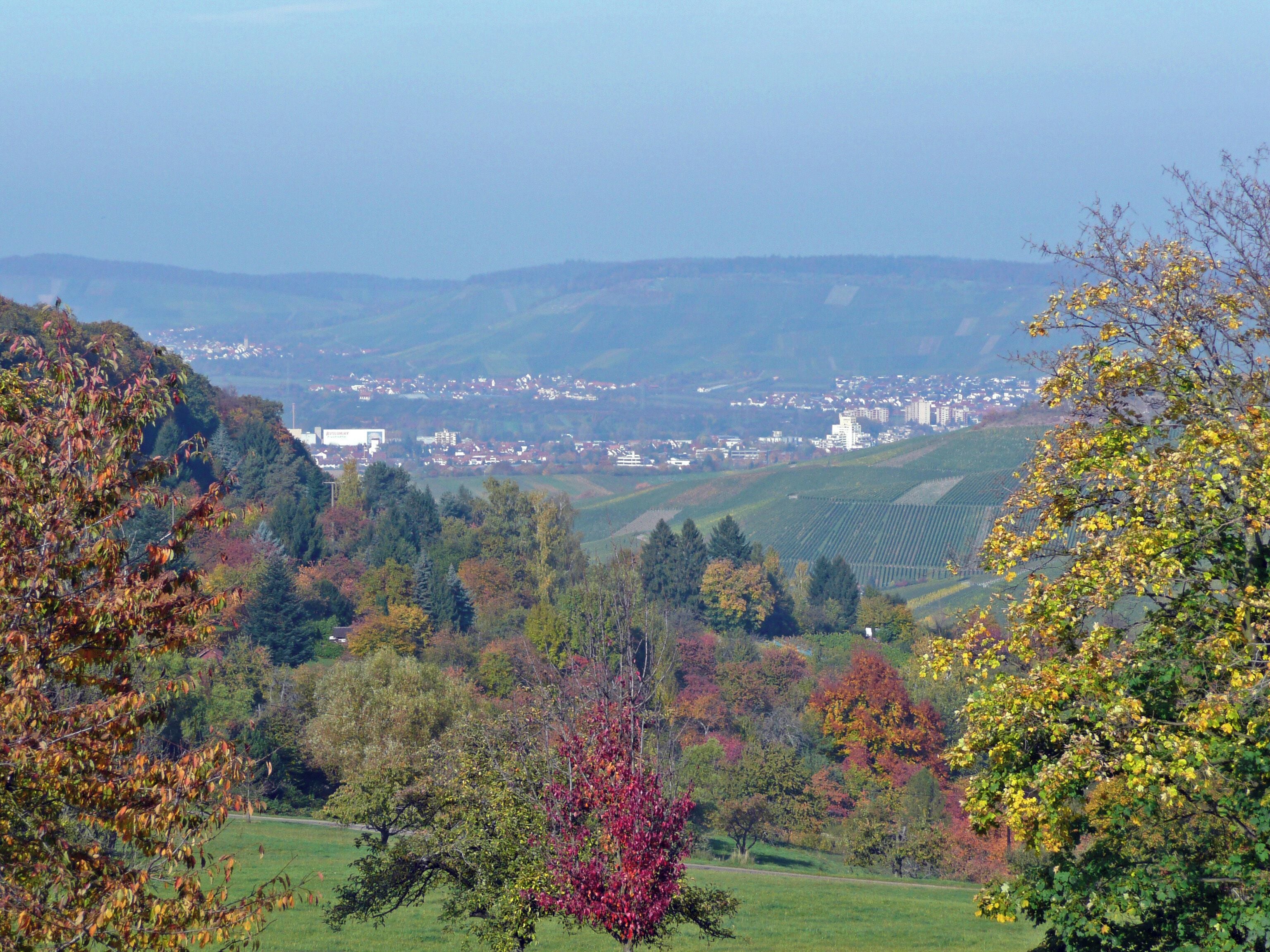 A valley with autumn foliage, a town in the distance, and rolling hills.