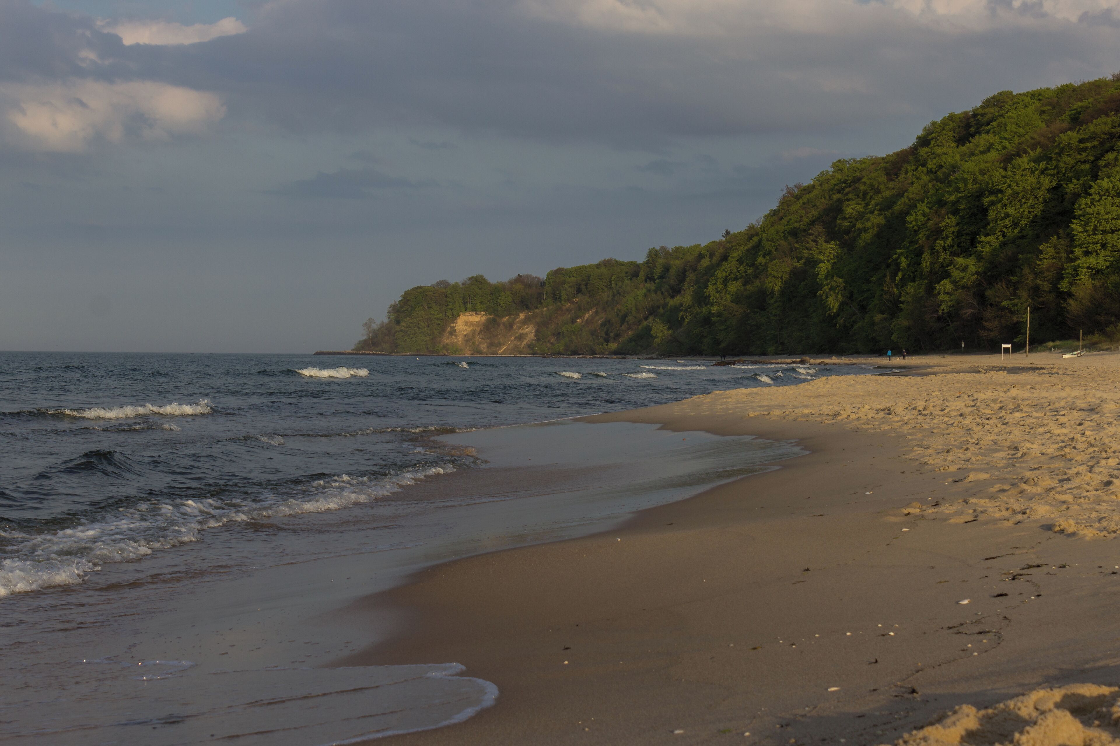 Biosphärenreservat Südost-Rügen (NSG Mönchgut) Nordperd - Göhren - Mecklenburg-Vorpommern