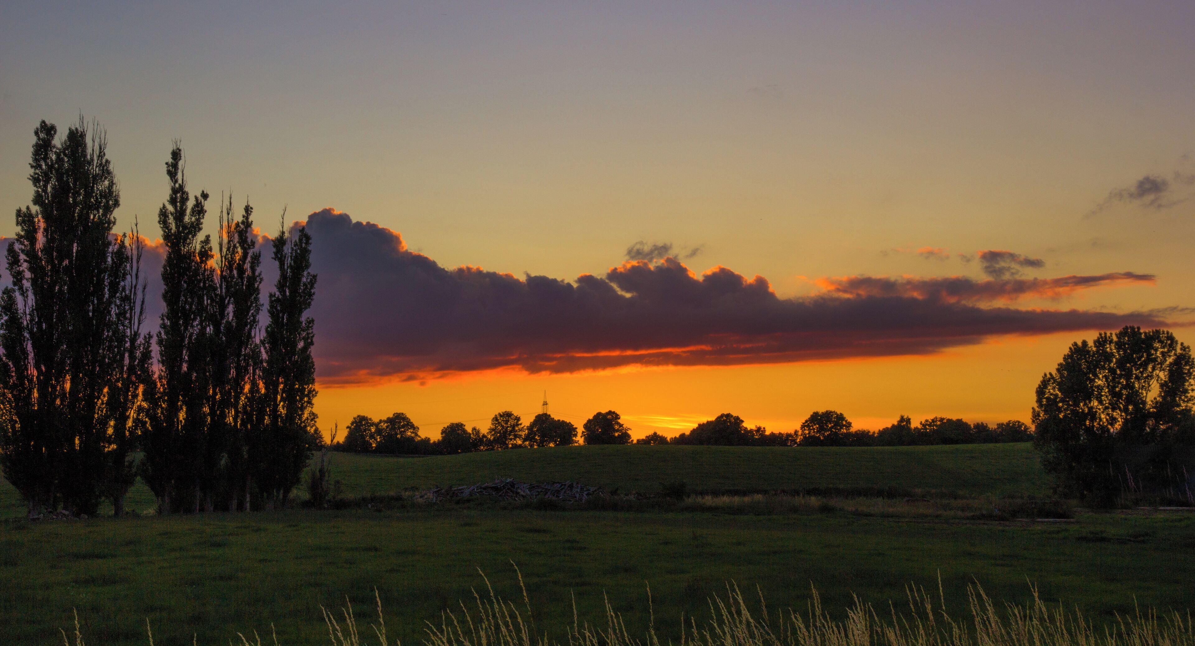 A little bit south flair in the north of Germany - View of the "Sumpfsee"-meadows in Güstrow at sunset.