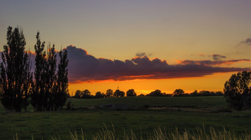 A little bit south flair in the north of Germany - View of the "Sumpfsee"-meadows in Güstrow at sunset.