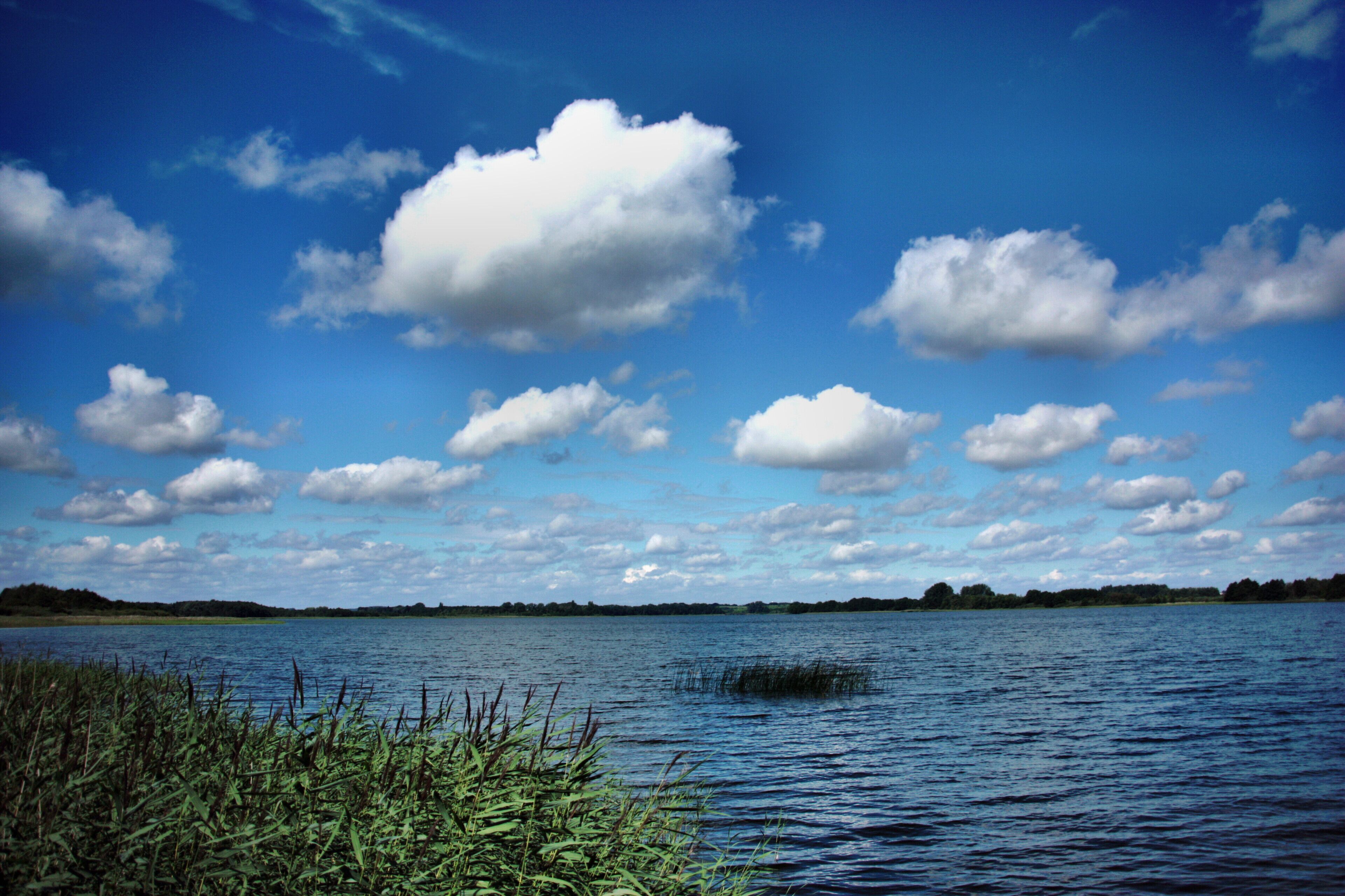 Sommertag am Inselsee