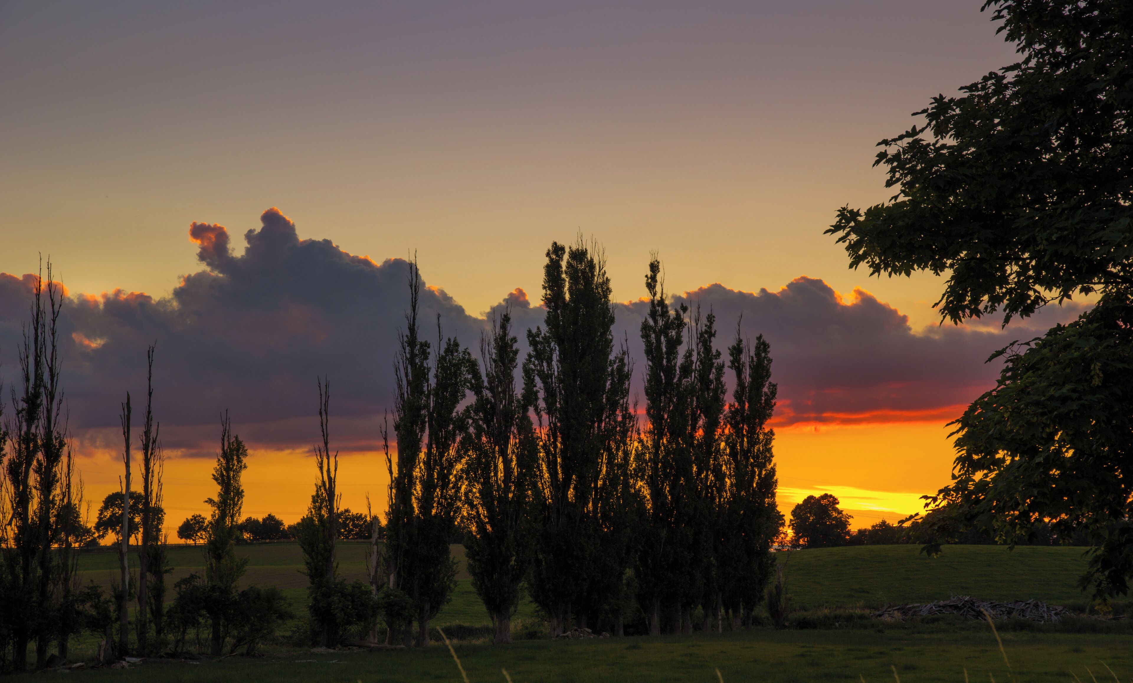 A little bit south flair in the north of Germany - View of the "Sumpfsee"-meadows in Güstrow at sunset.