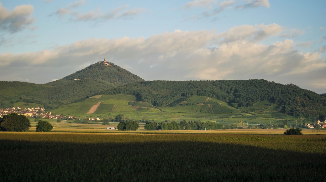 Remote view of the Château du Haut-Kœnigsbourg (Alsace, France).