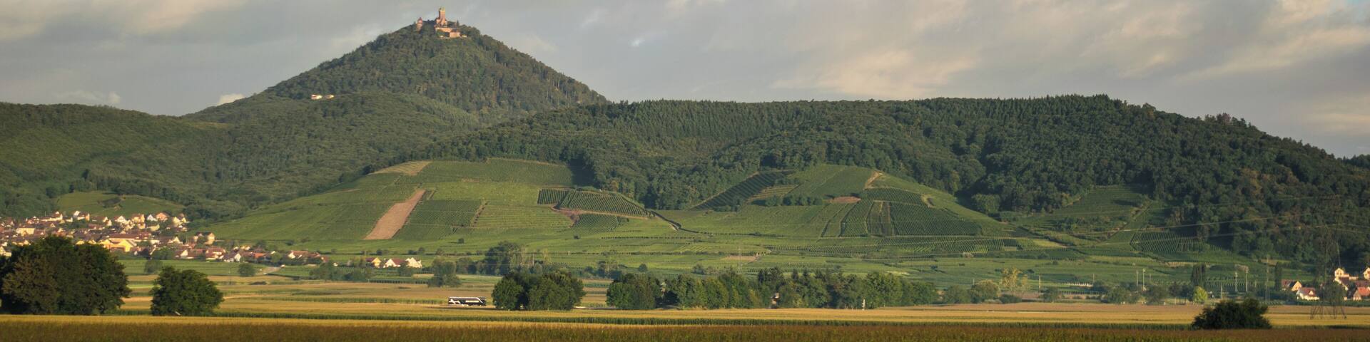 Remote view of the Château du Haut-Kœnigsbourg (Alsace, France).