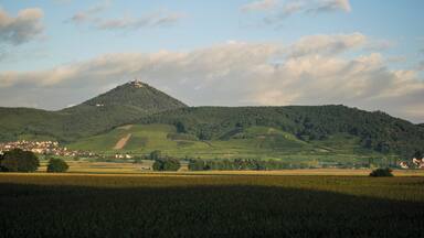 Remote view of the Château du Haut-Kœnigsbourg (Alsace, France).