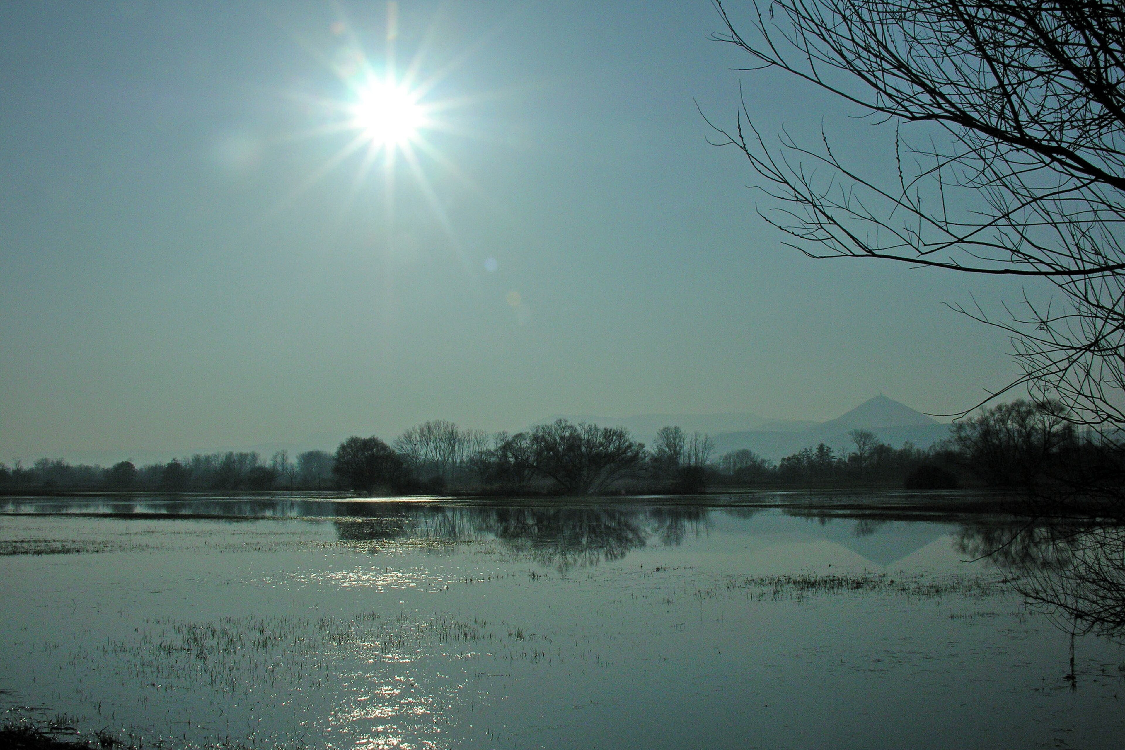 Soleil déclinant sur les inondations printanières de l'Illwald