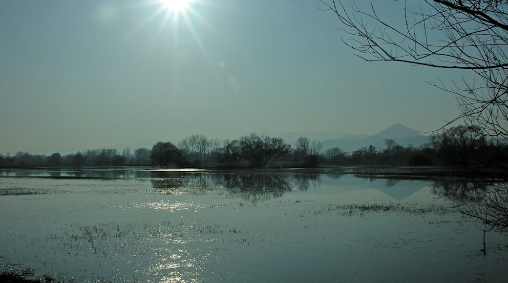 Soleil déclinant sur les inondations printanières de l'Illwald