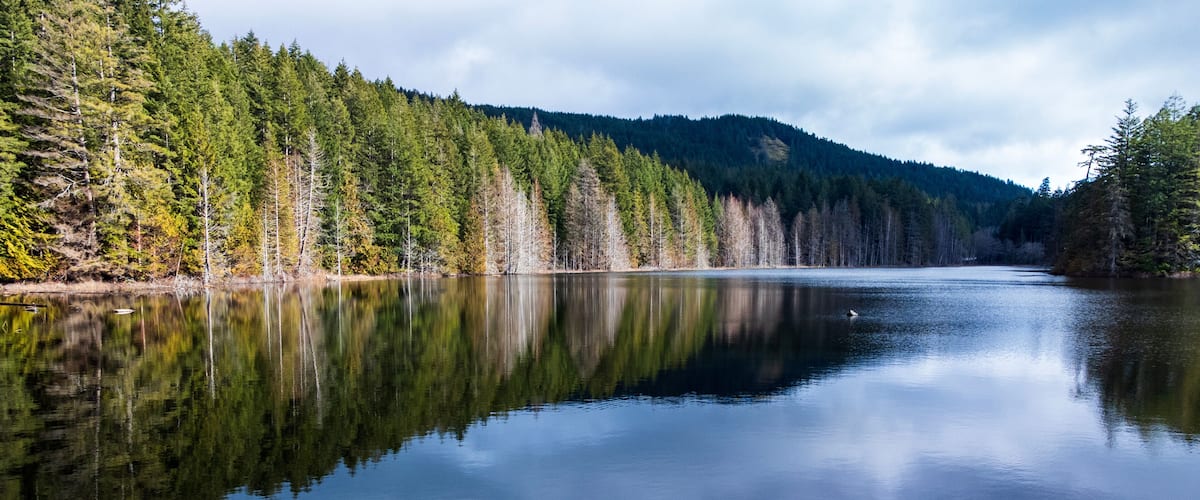 A calm lake surrounded by dense forest and a mountain in the background.