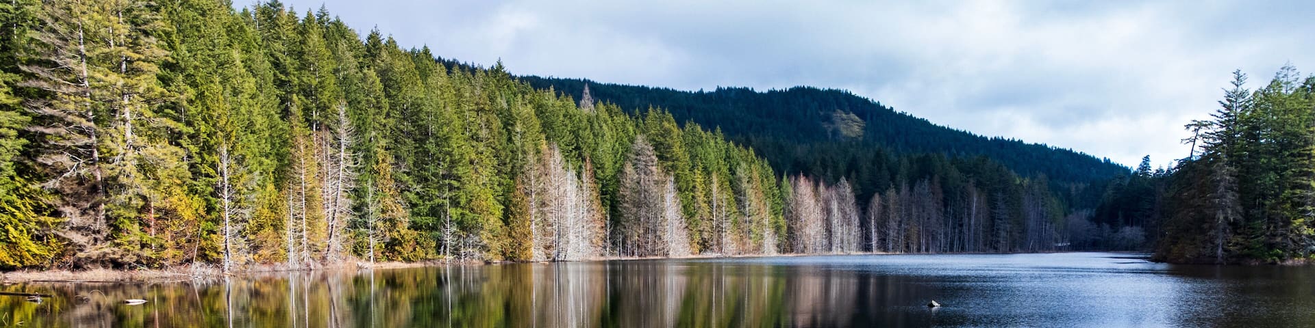 A calm lake surrounded by dense forest and a mountain in the background.