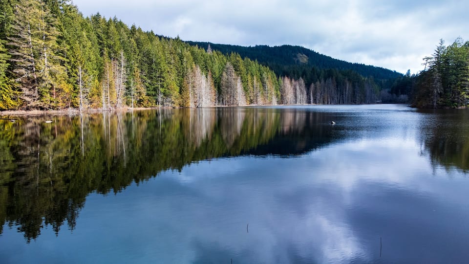A calm lake surrounded by dense forest and a mountain in the background.