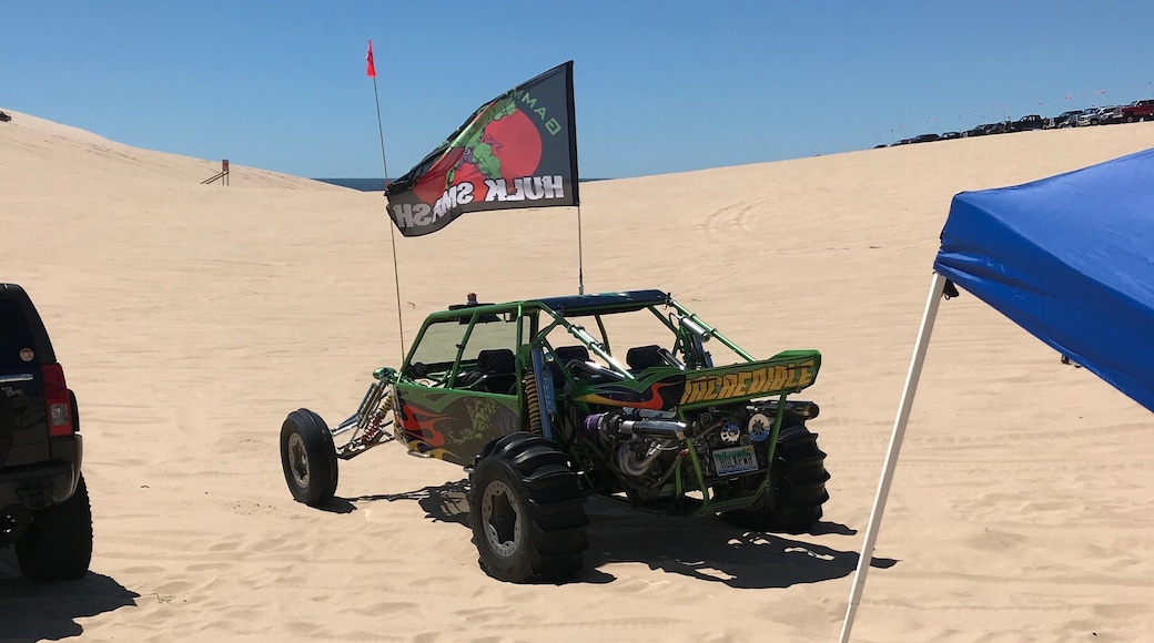 Silver lake sand dunes