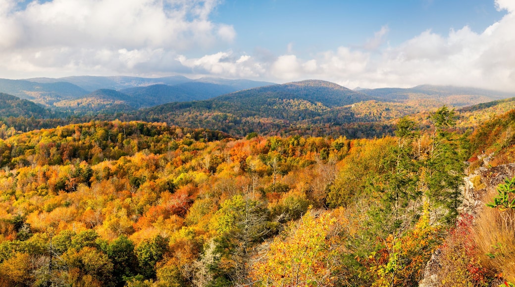 Golden Hour at Flat Rock Overlook - Blue Ridge Parkway