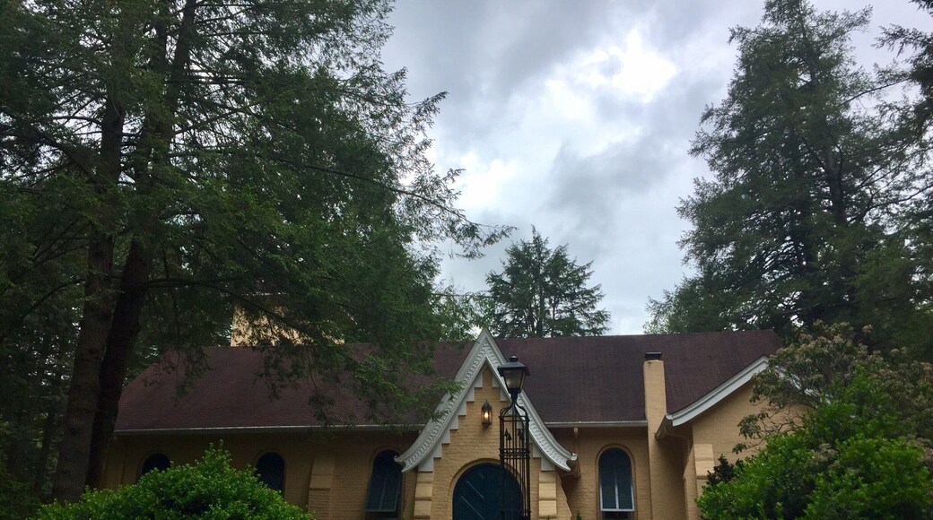 Built in 1833 many well known members of Southern Aristocracy have family plots here including, members of the families of three signers of the Declaration of Independence and the first secretary of the Confederate Treasury.