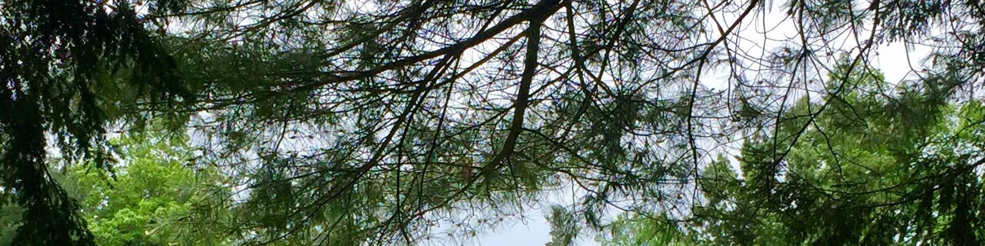 Pulitzer Prize winning poet and author Carl Sandburg would live in this home, named Connemara by its previous owner, from 1945 until his death in 1967. His wife would leave the property, home and all the furnishings to the National Park Service in 1968.