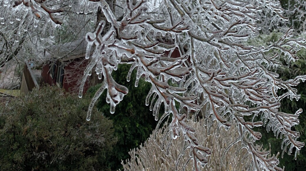 Winter ice storm in Georgia USA! So beautiful