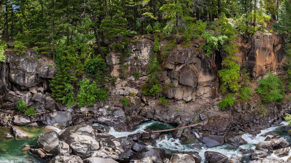 A rocky river with a bridge and dense forest.