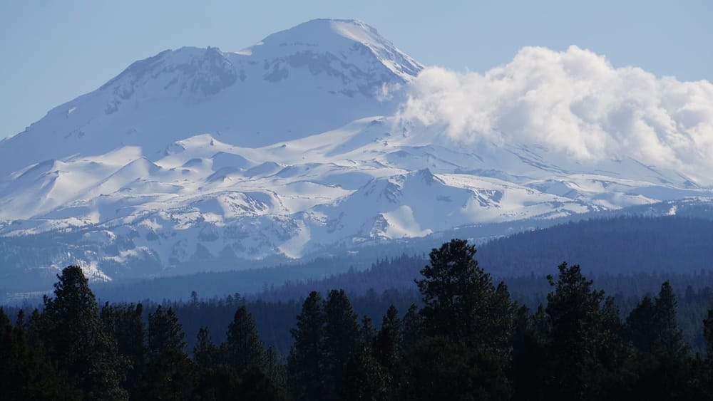 A snow-covered mountain with a forested foreground.
