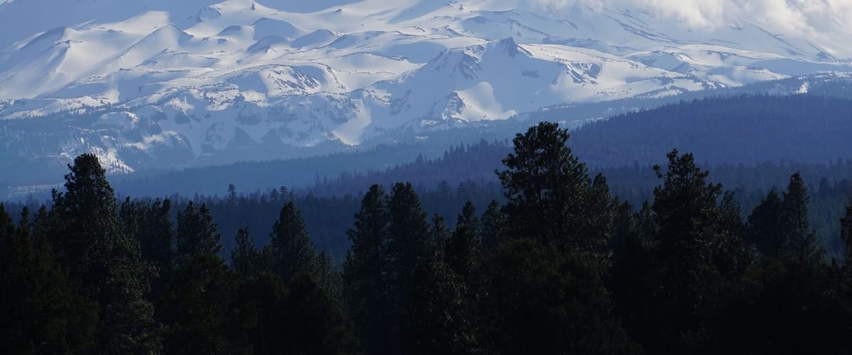 A snow-covered mountain with a forested foreground.