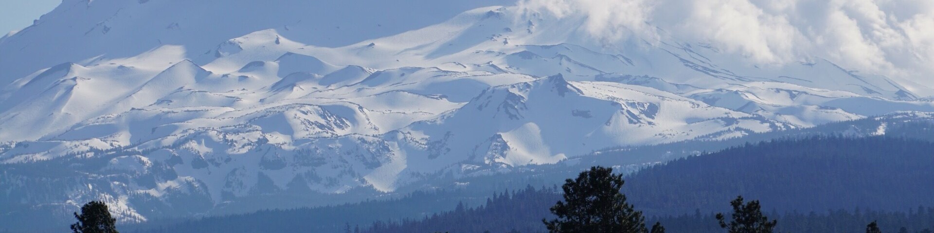 Montanha coberta de neve com uma área arborizada em primeiro plano.