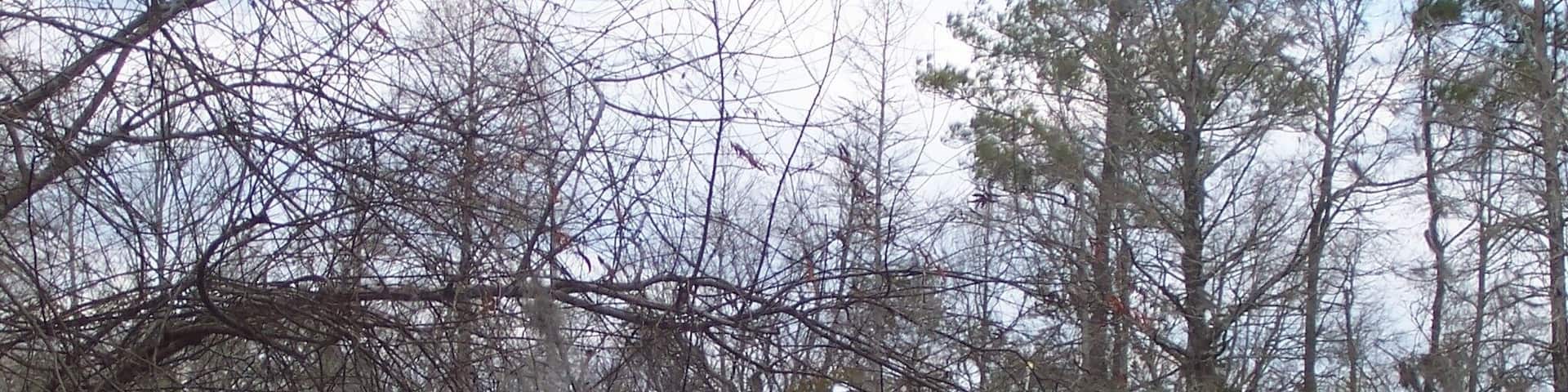The Sandy Island school ferry, which has been ferrying children from this remote island to public nearby schools for years.