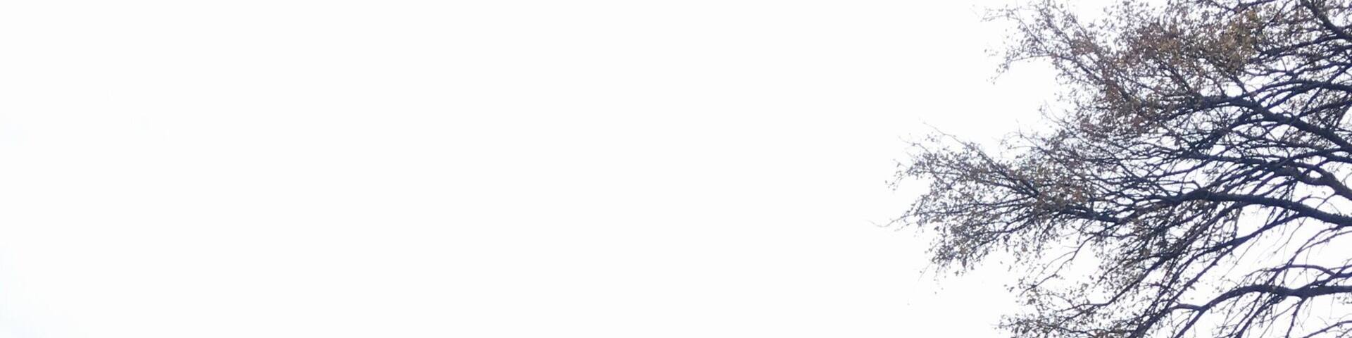 Hallers Haven trail. lots of wildlife . Watch out for snakes, saw a water moccasin on the side of the trail!