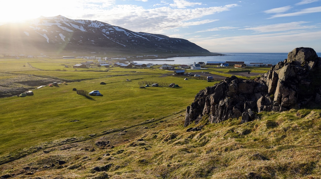 بورجارفجوردور إيستري