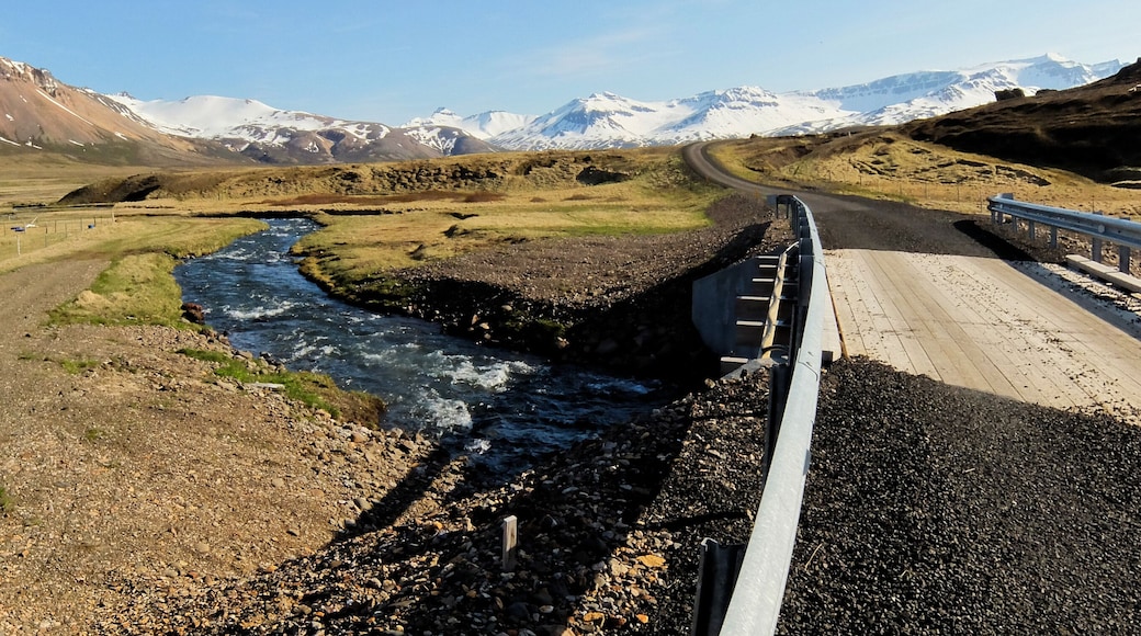 بورجارفجوردور إيستري